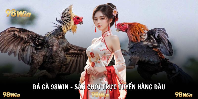 Đá gà 98WIN - Sân chơi trực tuyến hàng đầu