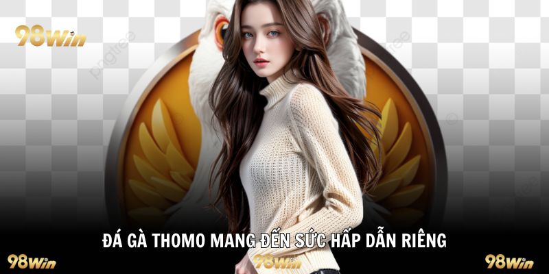 Đá gà Thomo mang đến sức hấp dẫn riêng
